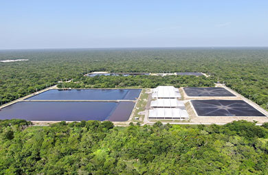Complejo de lagunas de biodigestión en Yucatán